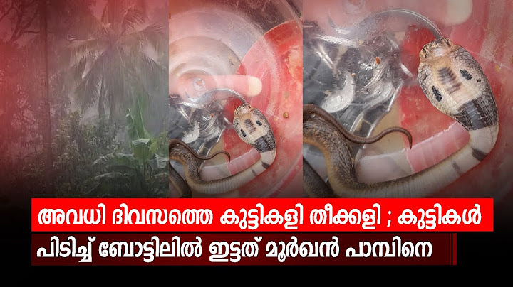 അവധി ദിവസത്തെ കുട്ടികളി തീക്കളി ; കുട്ടികൾ പിടിച്ച് ബോട്ടിലിൽ ഇട്ടത് മൂർഖൻ പാമ്പിനെ...