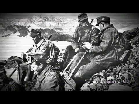 WOLFNACHT - Es war ein edelweiß (Slowed and Reverbed)