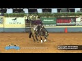 This whiz shines ridden by jarvis m anderson  2012 nrha futurity