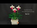 Crochet flower | Crochet Orchid flower (Arundina graminifolia) Part 1/2. Petals #crochetflower #diy