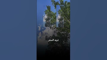 #قرآن #قران_كريم #تلاوة_خاشعة #اكسبلور #حالات_واتس #حالات_واتساب #راحة_نفسية #دويتو #duet #تيك_توك