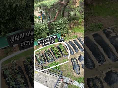 빌라 3층에서 텃밭에 물주기 | 아빠는 샷시를 찢어