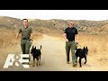 Police K9 Unit Goes Head-To-Head With His Own Boss | America's Top Dog | A&E