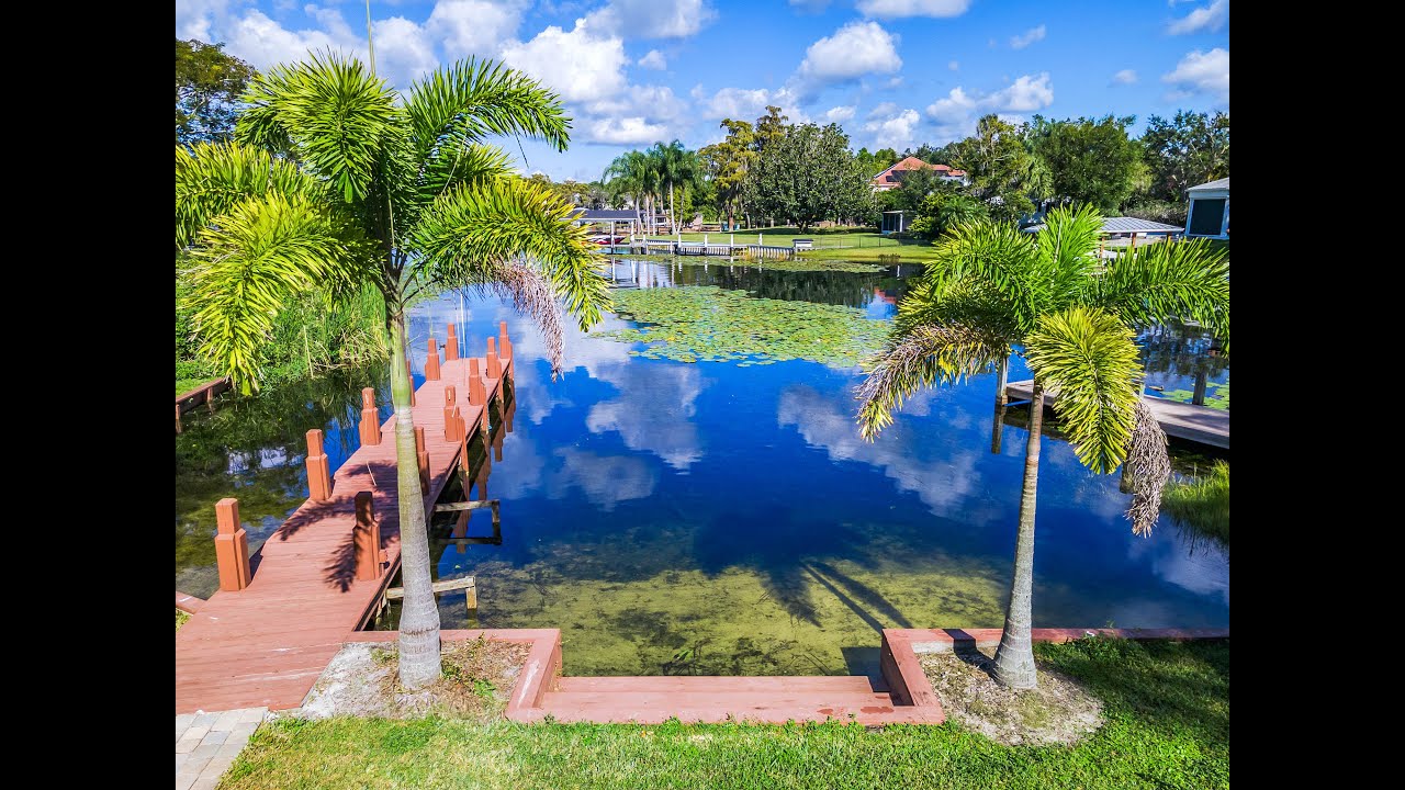 125 North Drive, Windermere, FL 34786  Ron the Realtor