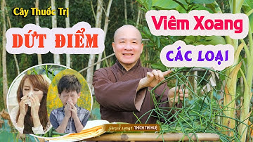 VIÊM XOANG Cỡ Nào Cũng Dứt Điểm, Viêm Đa Xoang, Nhức Đầu Sổ Mũi, Nghẹt Mũi. Chùa Pháp Tạng
