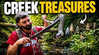 Full We Went Mudlarking And Caught A Snake Instead! News