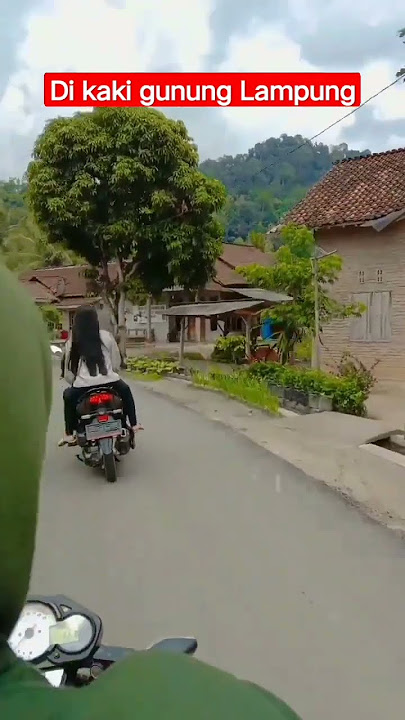 Beginilah kaki gunung di daerah Lampung Sumatera #video #youtube #shorts
