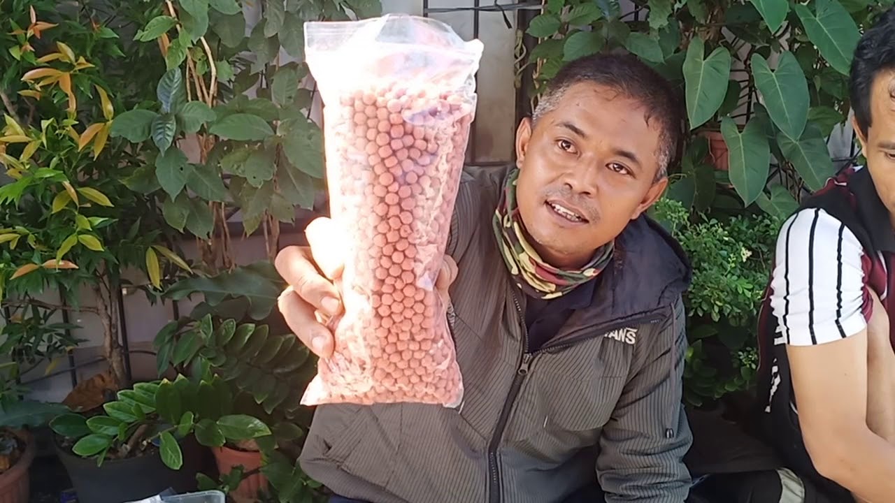 Tutorial umpan bandeng ft security 