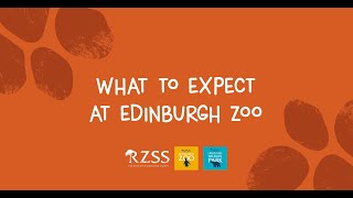 Plan your visit! What to expect at Edinburgh Zoo | Royal Zoological Society of Scotland
