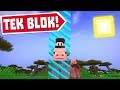 MİNECRAFT ama TEK BLOK ( bölüm 14 )