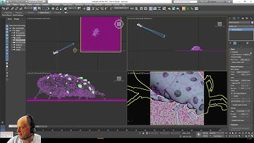finalRender trueHybrid(TM) : Tutorial 3dsMax Physical Camera 9 Major Tips