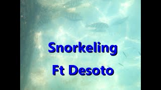 Fort Desoto Snorkeling