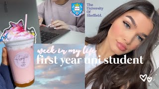 first year uni student week in my life (the university of Sheffield) ad