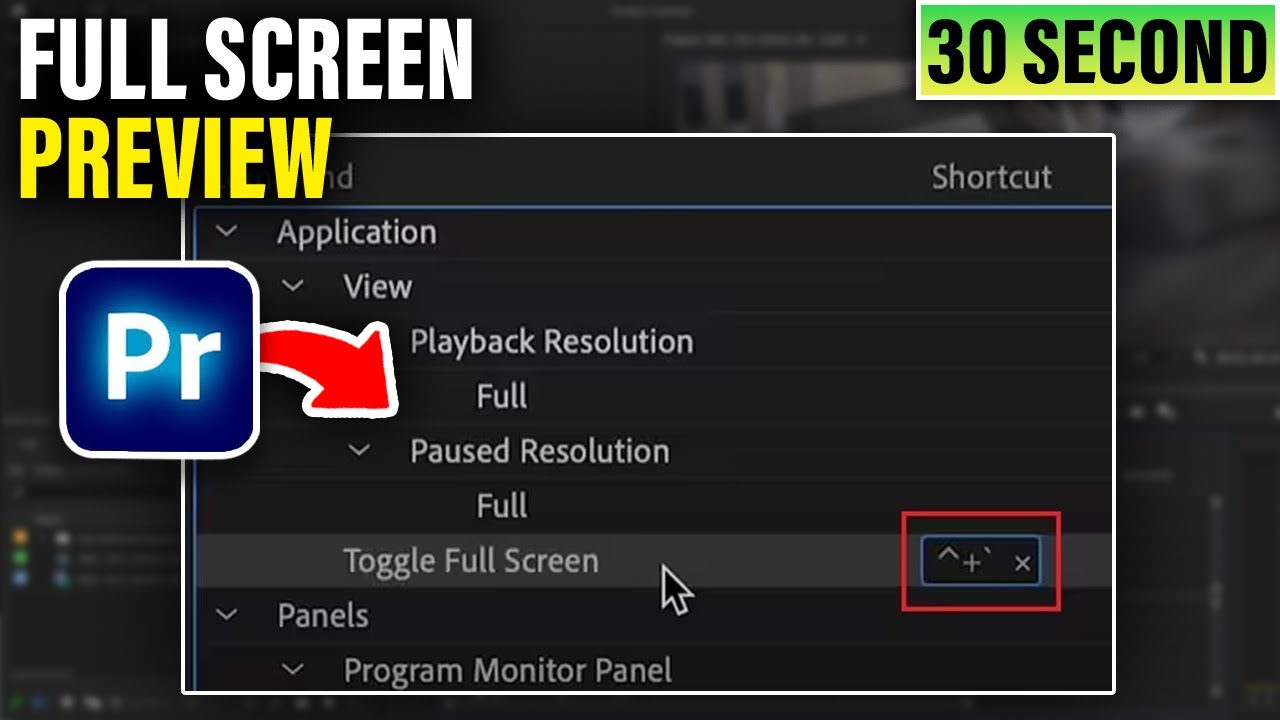 How to view full screen preview in premiere Pro (EASY)