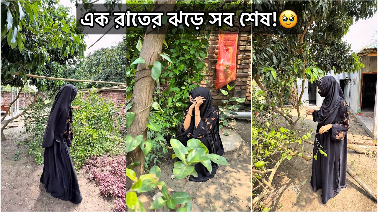 এক রাতের ঝড়ে সব শেষ!😥