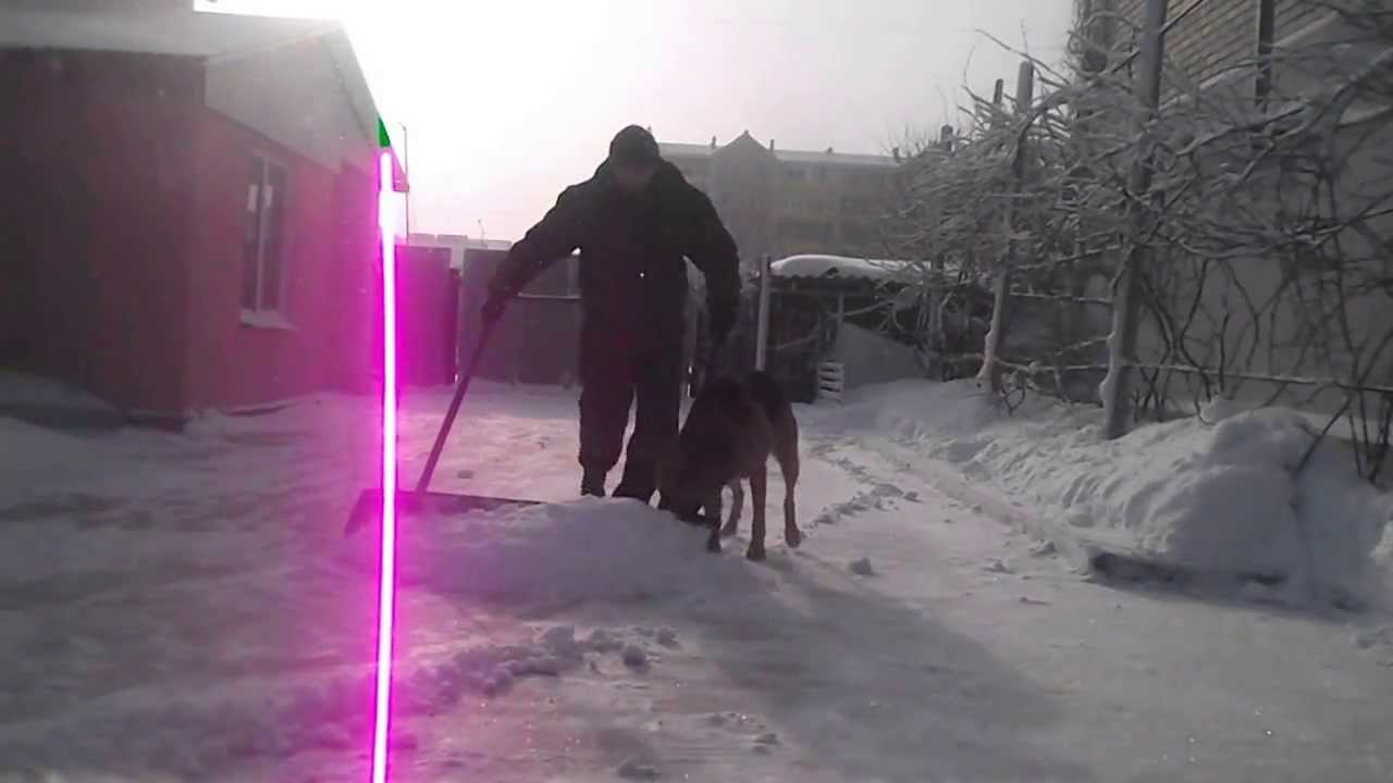 Чистим снег нивой