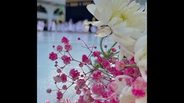 سورة التوبة ماهر المعيقلي #سورة_التوبة_تلاوة_خاشعة_الشيخ_ماهر_المعيقلي_سور_القرآن_الكريم