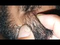 ASMR Relaxing beard hiar satisfying