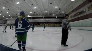 Eagan 1/26/2019 Period 3