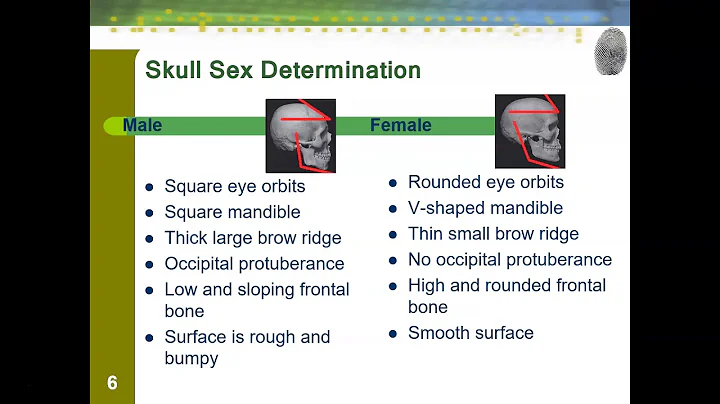 Forensic Anthropology