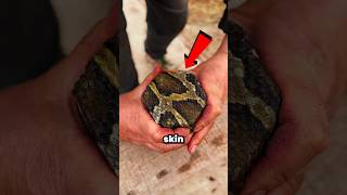 How Python Skin Turns into Music