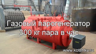 Газовый парогенератор 300 кг пара в час