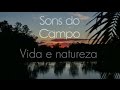 Série Sons do Campo - Ep 1