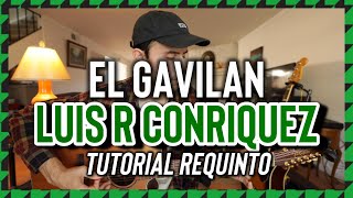 Video thumbnail of "El Gavilan - LUIS R CONRIQUEZ - Peso Pluma - Tony Aguirre - Tutorial - REQUINTO - Guitarra"