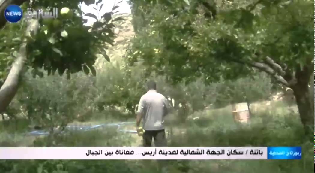 باتنة: سكان الجهة الشمالية لمدينة اريس .. معاناة بين الجبال