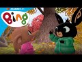 Bing i Sula zbierają i liczą żołędzie w lesie! | Bing po Polsku