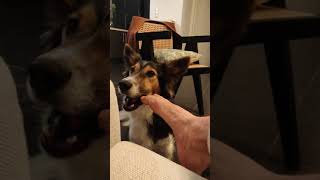 Wiggle Your Big Toe.