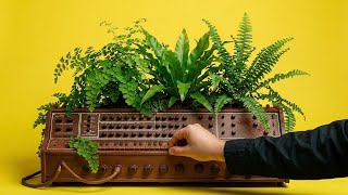Deep Focus Music | 1 Hour Botanical Ambient Soundscape