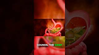 Mind-Blowing Transformation Stomach Cells Secret