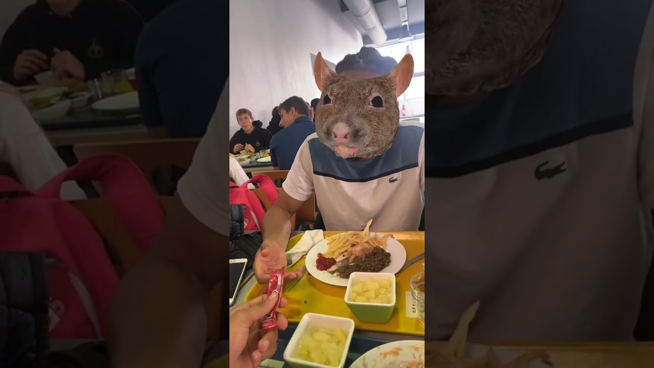 Le Rat au Resto U 