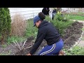 Overgrown Garden Bed Clean out| GARDENADDICTZ