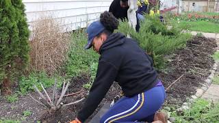 Overgrown Garden Bed Clean out| GARDENADDICTZ