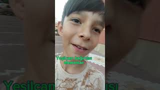 Povyeşil Çam Bağımlıları