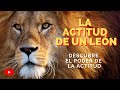 🔥 Videos de Motivacion - EL PODER DE LA ACTITUD - video de motivacion a nivel 100% -Inspiracion