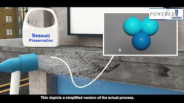 Northeast Seawall and Soil Stabilization:  Seawall Concrete Preservation