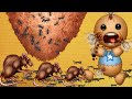 Kick the Buddy 2024 | Animation Games | The Sewer Rats vs Anthill vs Buddyman