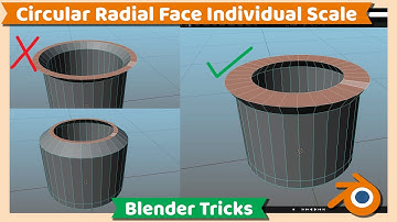 Blender Tutorial : How to scale radial circular faces individually