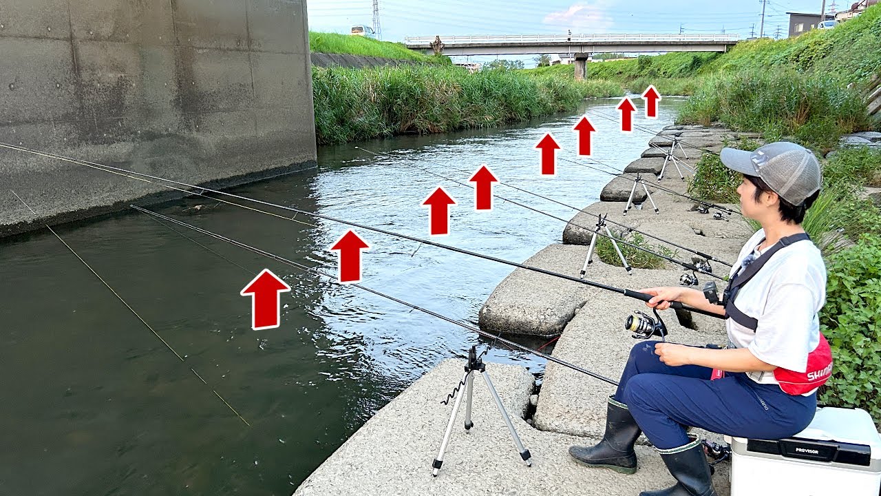 Результаты постановки 10 стержней под мост