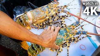 Eating Giant SPINY LOBSTER and Tiger Shrimp  Thailand Street Food with Trevor James [Watch in 4K]!
