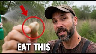 How I Avoid Ticks Outdoors After Decades In The Woods❗️