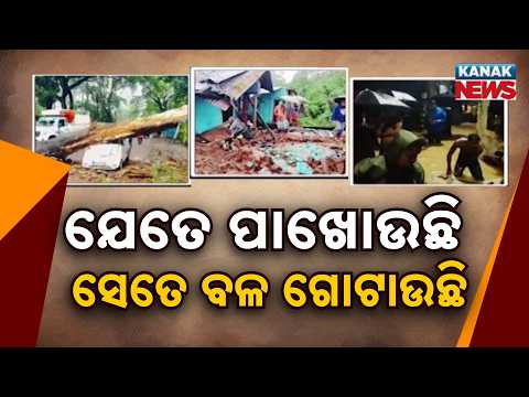 ଗଛ ପଡ଼ିଲା, ଘର ଭାଙ୍ଗିଲା | Heavy Rain Uproots Trees, Damages Homes Across Odisha