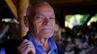 Aladağ Belediyesi 29 Ekim Çalışması