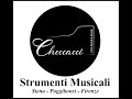 Ref:VMb8x7XUP7w Checcacci strumenti musicali - siena, poggibonsi, firenze.