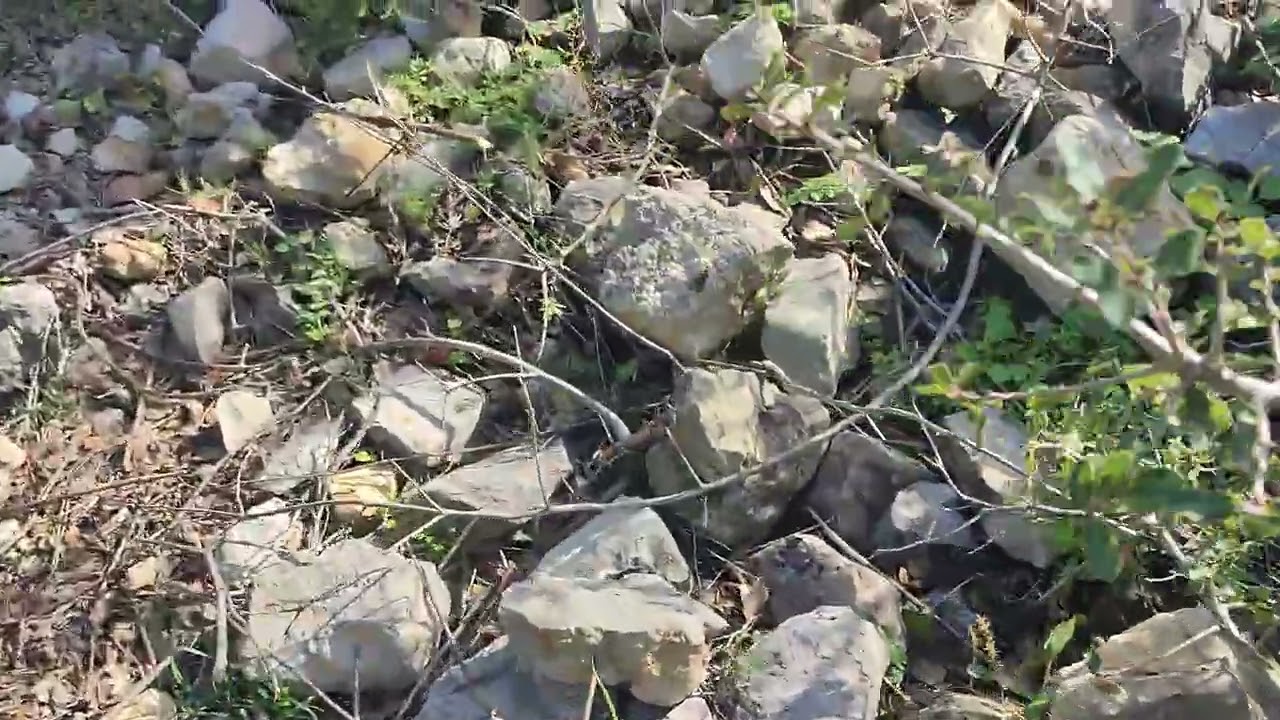 ١٥ فبراير ٢٠٢٦