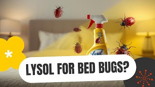Lysol For Beds Bugs - Effective or Pointless?