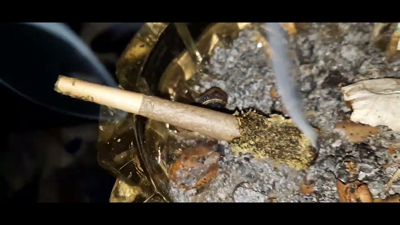 clip8 - YouTube